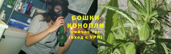 PSILOCYBIN Балахна