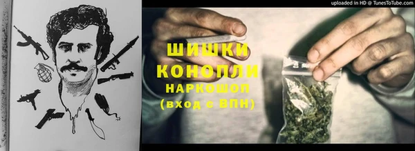 сатива Баксан