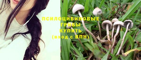 крисы Армянск