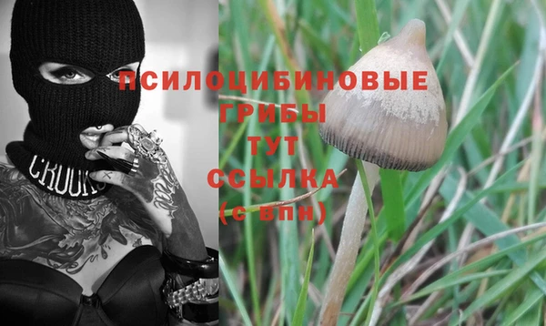 PSILOCYBIN Балахна