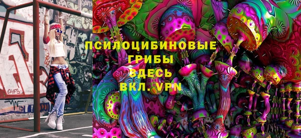 PSILOCYBIN Балахна