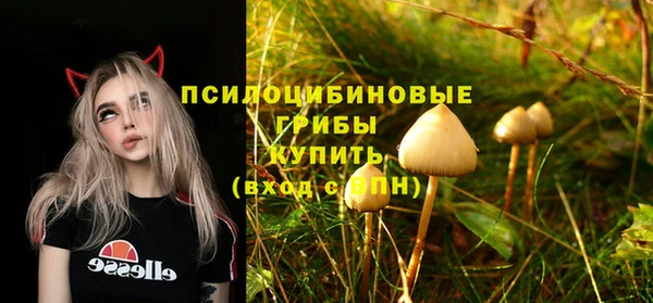 сатива Баксан