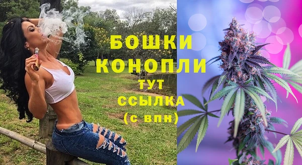 сатива Баксан